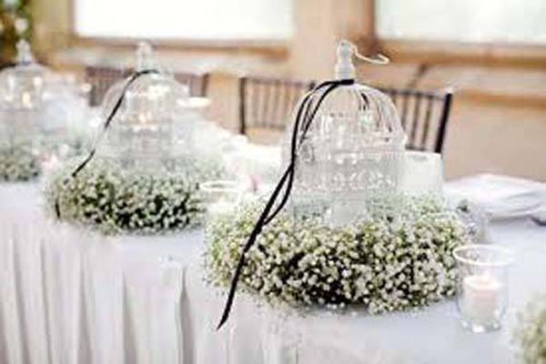 Parasiet Aktentas argument Witte bruiloft decoratie - Trouwen-bruiloft