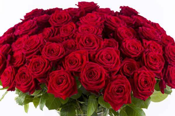 Stal Rubber Achteruit Rode rozen als decoratie voor jouw trouwdag - Trouwen-bruiloft